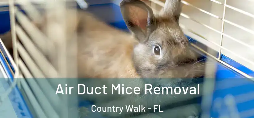  Air Duct Mice Removal Country Walk - FL