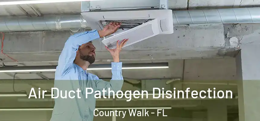  Air Duct Pathogen Disinfection Country Walk - FL