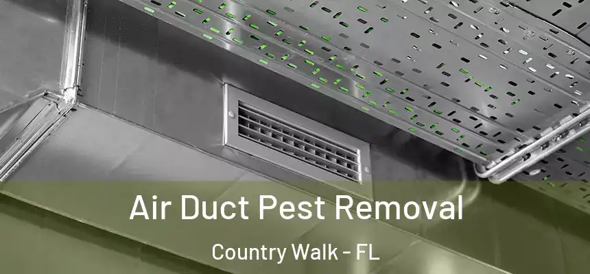  Air Duct Pest Removal Country Walk - FL