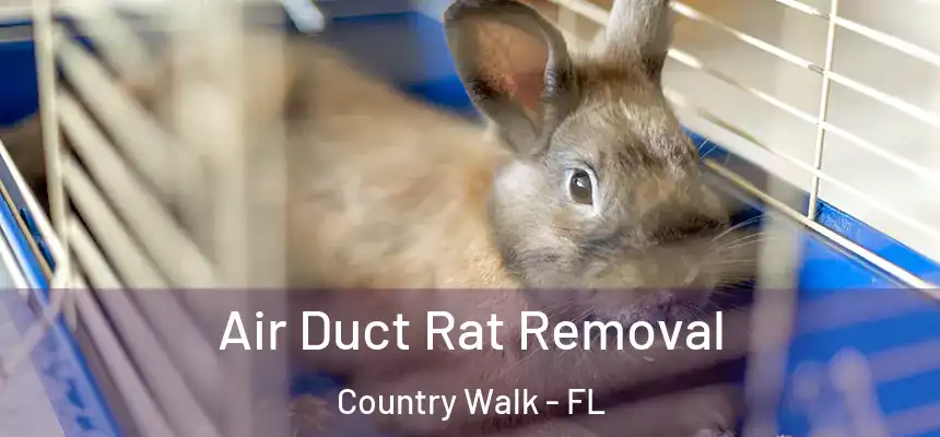  Air Duct Rat Removal Country Walk - FL