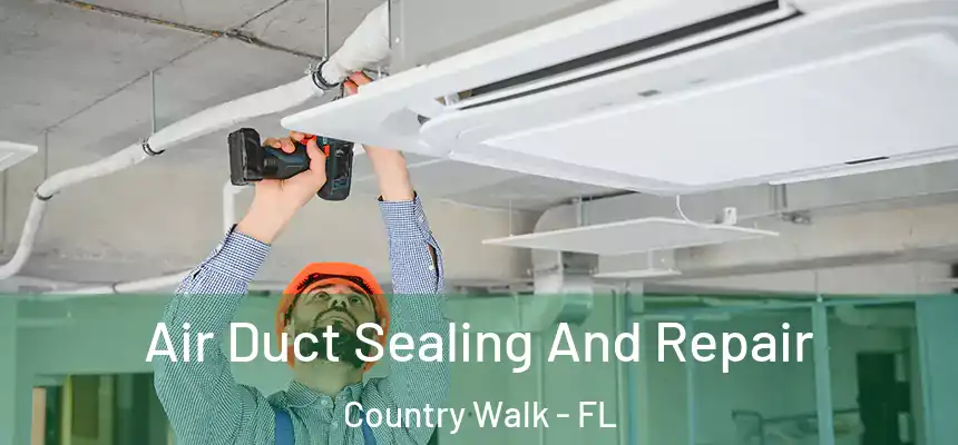 Air Duct Sealing And Repair Country Walk - FL