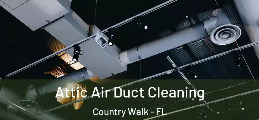  Attic Air Duct Cleaning Country Walk - FL