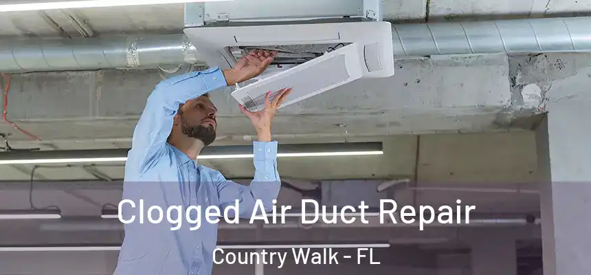  Clogged Air Duct Repair Country Walk - FL