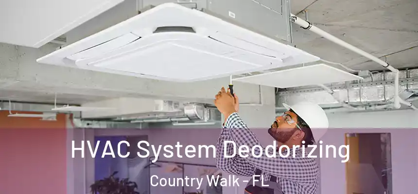  HVAC System Deodorizing Country Walk - FL