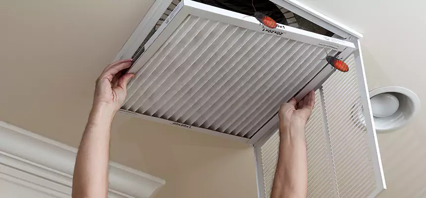 Preventive Cockroach-Proofing for Ducts in Country Walk