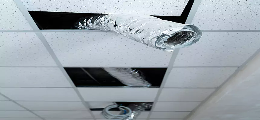 Affordable HVAC Sanitizing After Pest Removal in Country Walk