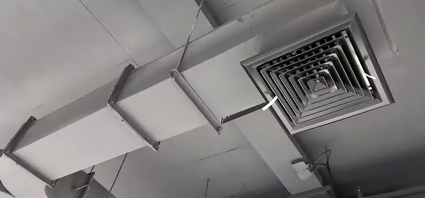 Restorative Allergy Relief Vent Cleaning – Coil, Blower & Housing Detail in Country Walk