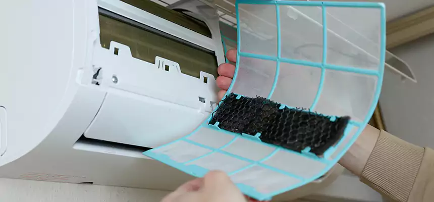 Gentle Ductwork Odor-Control Pet Dander Duct Cleaning in Country Walk, FL