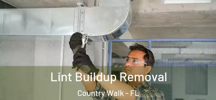 Lint Buildup Removal Country Walk - FL
