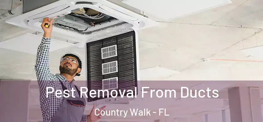  Pest Removal From Ducts Country Walk - FL