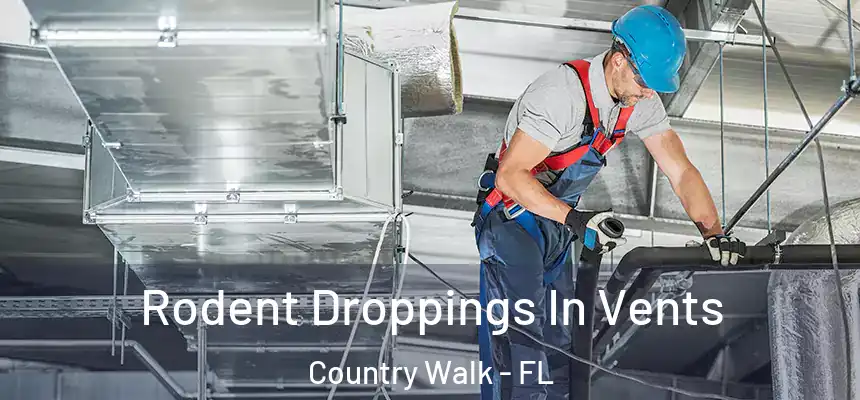  Rodent Droppings In Vents Country Walk - FL