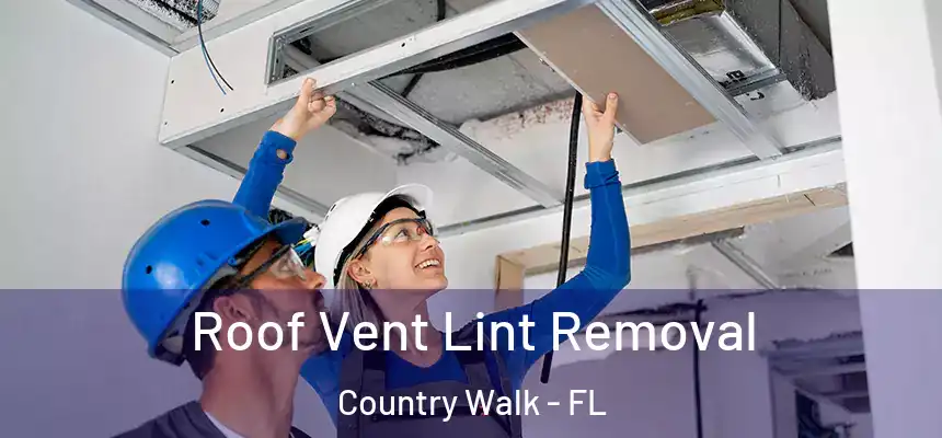  Roof Vent Lint Removal Country Walk - FL