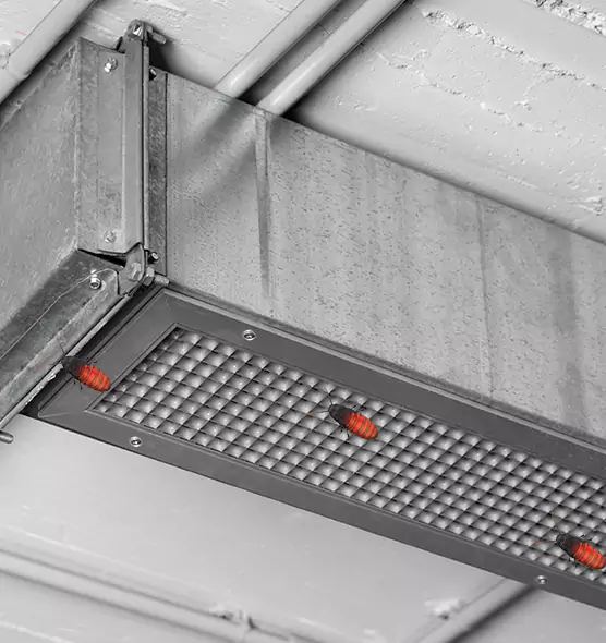 About Air Duct Cockroach Removal in Country Walk, FL