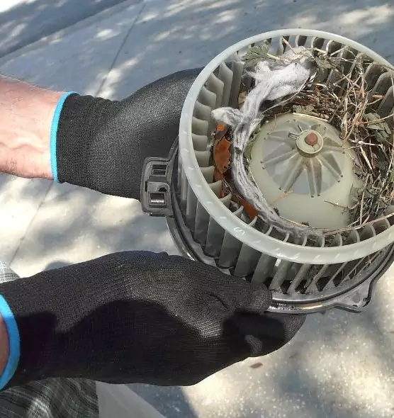 About Air Duct Mice Removal in Country Walk, FL