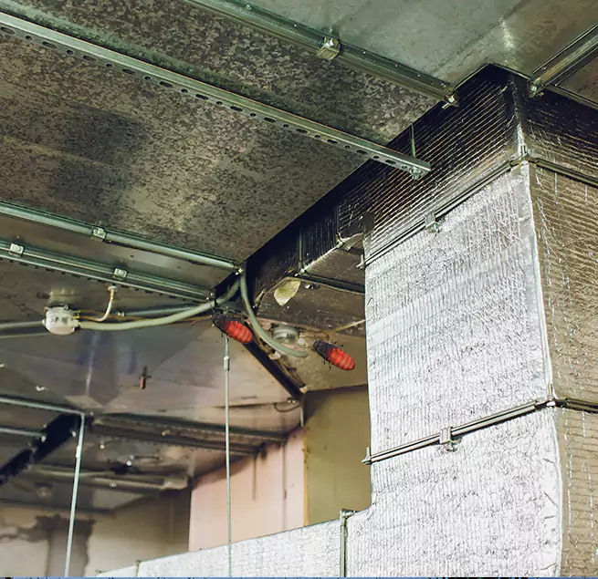 Why Homeowners & Businesses Trust Us in Country Walk, FL?