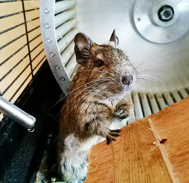 Why Homeowners & Businesses Trust Us Country Walk, FL