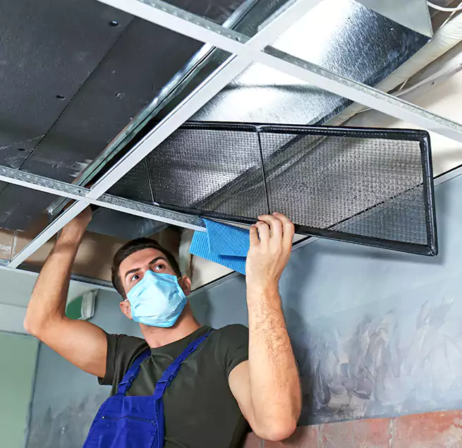 Why Homeowners Businesses Trust Us in Country Walk, FL