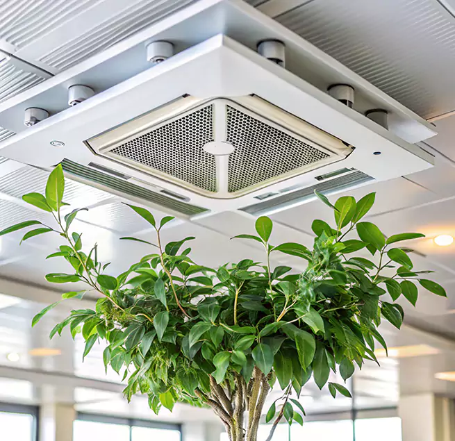 Why Homeowners & Businesses Trust Us in Country Walk, FL