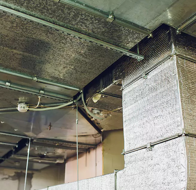 Why Homeowners & Businesses Trust Us in Country Walk, FL?